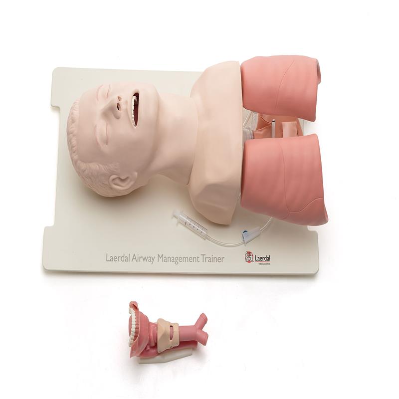 Laerdal Airway Management Trainer